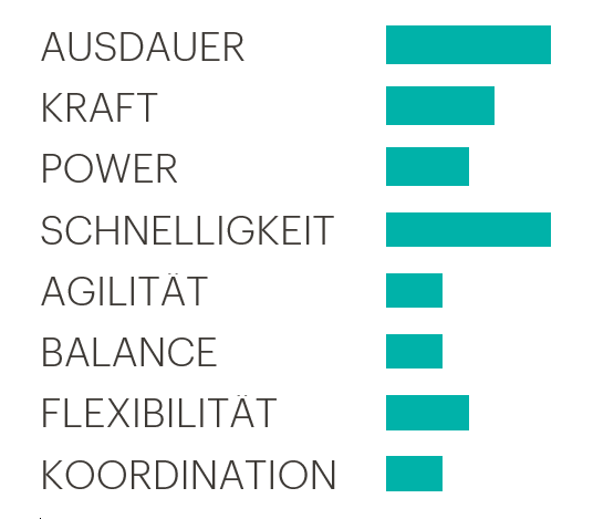 Ausdauer, Kraft, Power, Schnelligkeit, Agilität, Balance, Flexibilität, Koordination