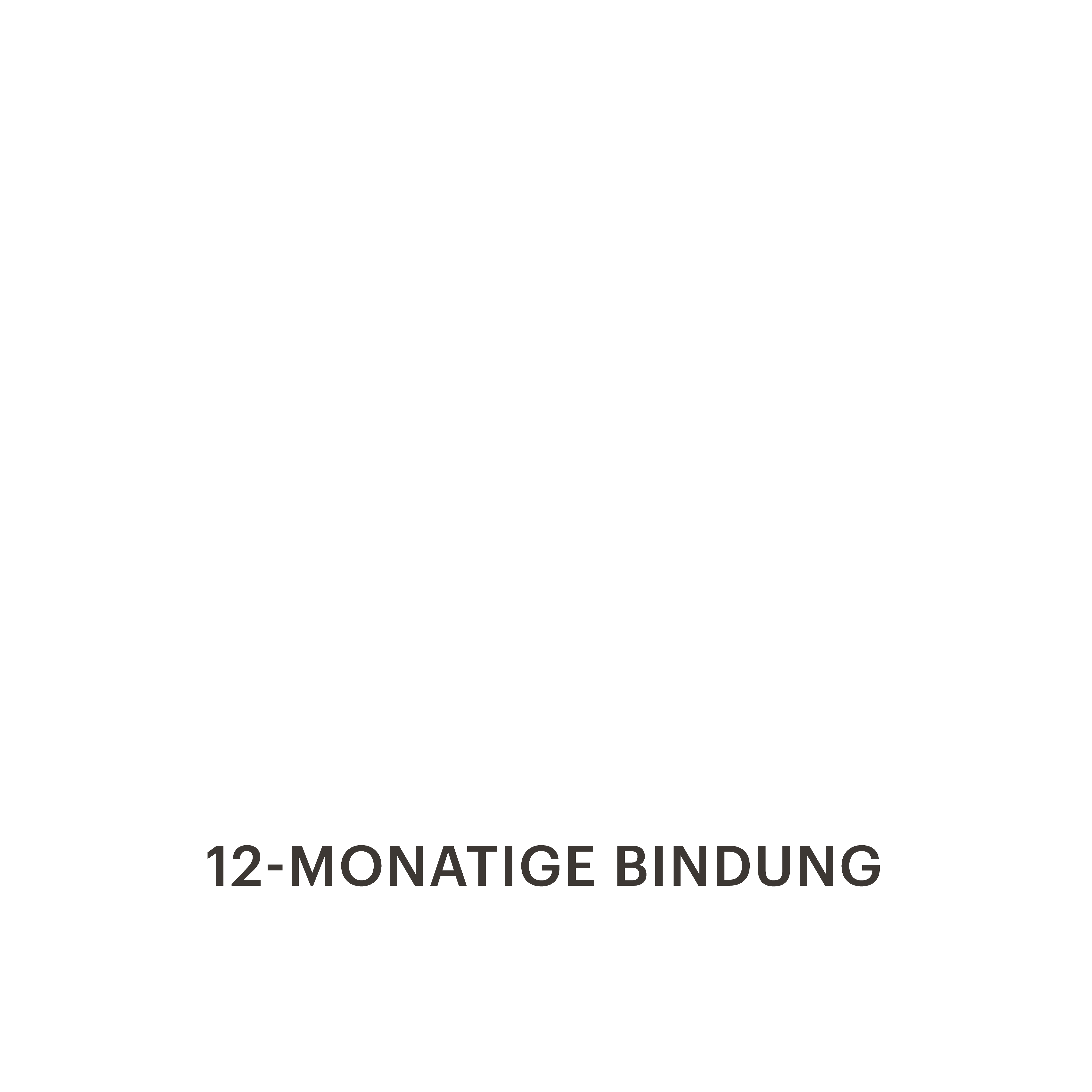 12-monatige Mitgliedschaft
